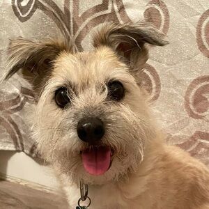 Meet your Posher, Cheryl